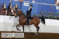 10r12_6533 proof