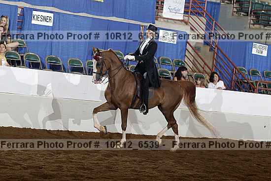 Proof 10r12_6539