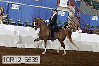 10r12_6539 proof