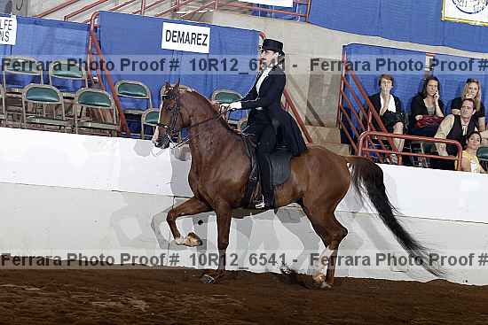 Proof 10r12_6541