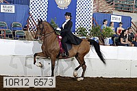 10r12_6573 proof
