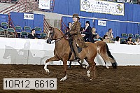 10r12_6616 proof