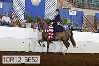 10r12_6652 proof