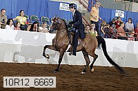 10r12_6669 proof