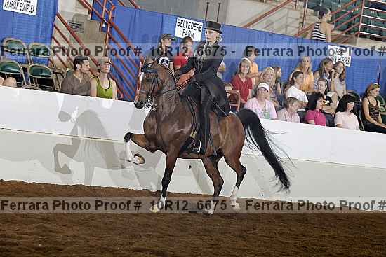 Proof 10r12_6675