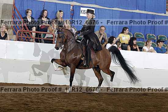 Proof 10r12_6676