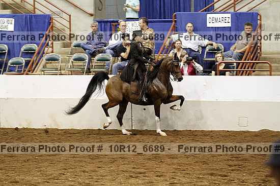 Proof 10r12_6689
