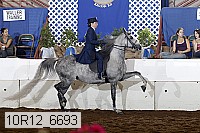 10r12_6693 proof