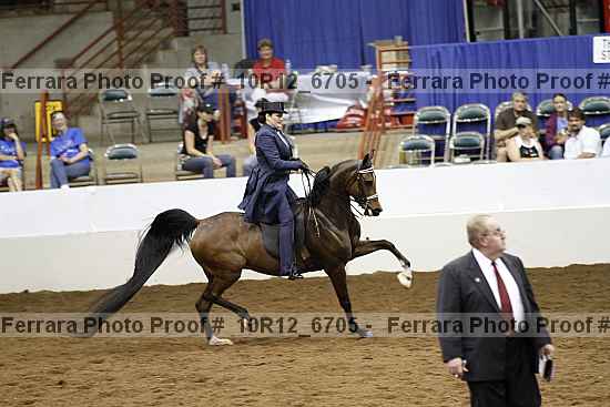 Proof 10r12_6705