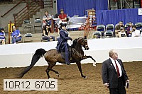 10r12_6705 proof