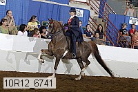10r12_6741 proof