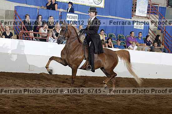 Proof 10r12_6745