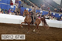 10r12_6748 proof
