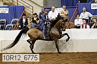 10r12_6775 proof