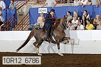 10r12_6786 proof