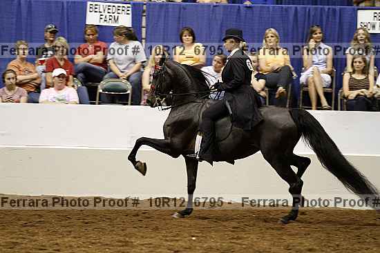 Proof 10r12_6795