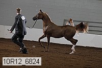 10r12_6824 proof