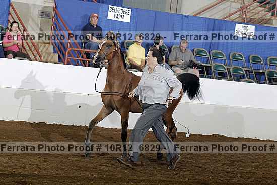 Proof 10r12_6829