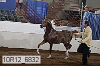 10r12_6832 proof