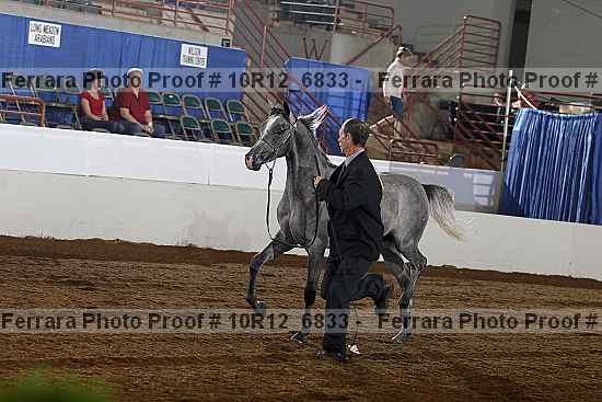 Proof 10r12_6833