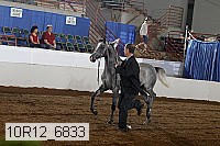 10r12_6833 proof