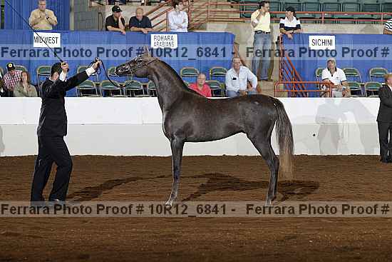 Proof 10r12_6841