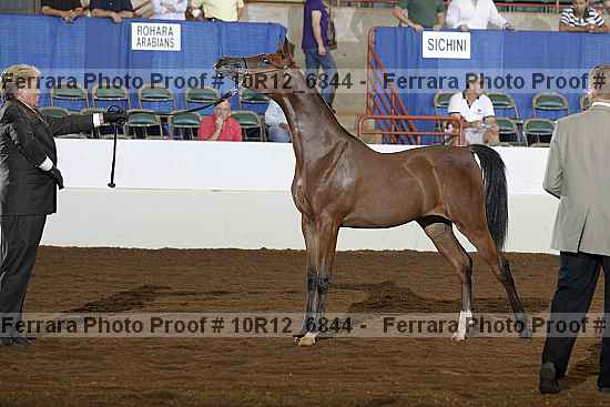 Proof 10r12_6844
