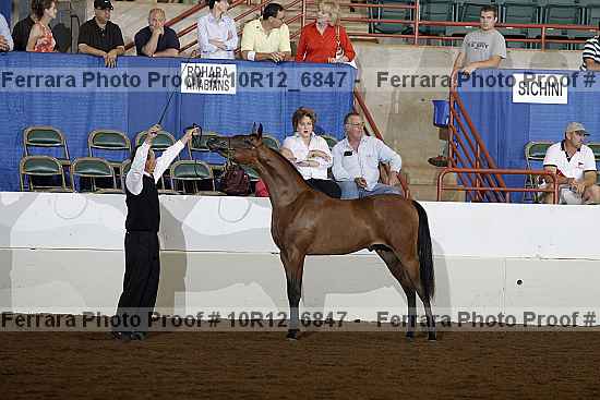 Proof 10r12_6847