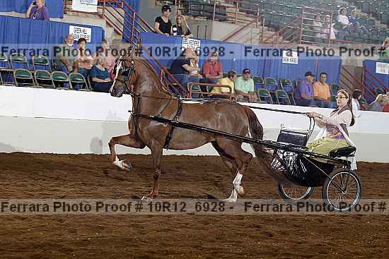 Proof 10r12_6928