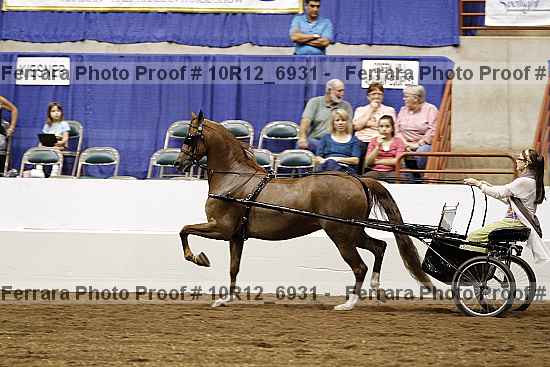 Proof 10r12_6931
