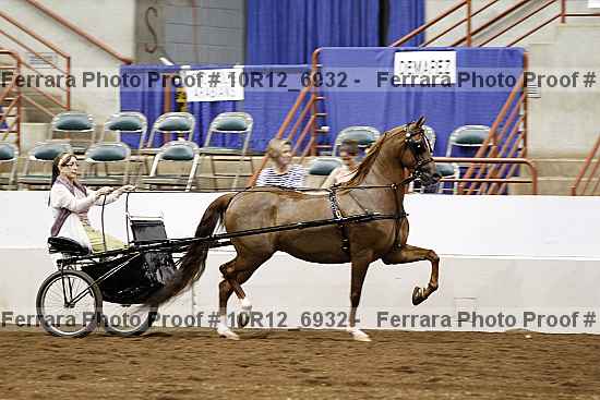 Proof 10r12_6932
