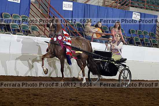 Proof 10r12_6934