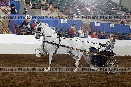 Proof 10r12_7034