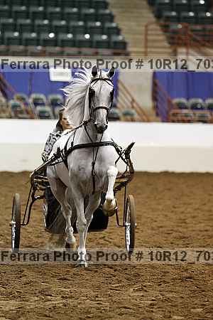 Proof 10r12_7035
