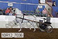 10r12_7036 proof