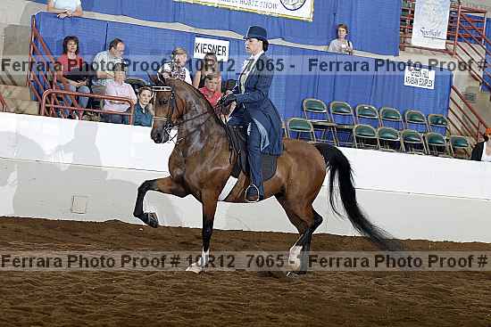 Proof 10r12_7065
