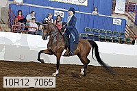 10r12_7065 proof
