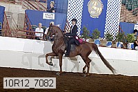 10r12_7082 proof