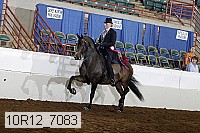 10r12_7083 proof