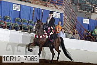 10r12_7089 proof