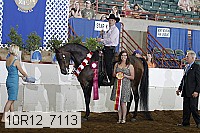 10r12_7113 proof