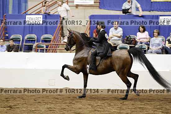 Proof 10r12_7134