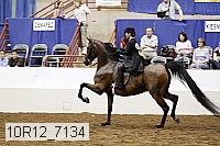 10r12_7134 proof