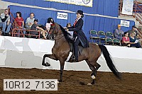 10r12_7136 proof