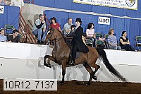 10r12_7137 proof