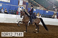 10r12_7141 proof