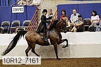 10r12_7161 proof