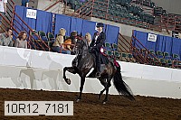 10r12_7181 proof