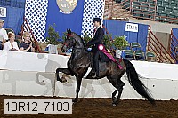 10r12_7183 proof