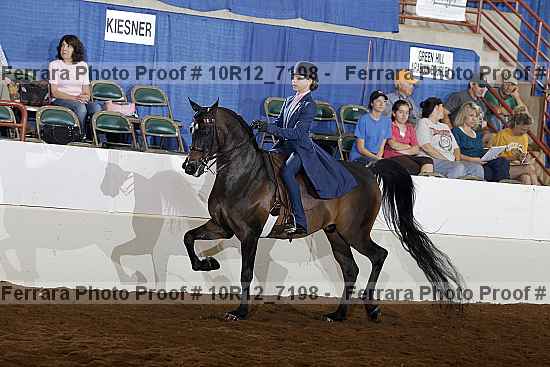 Proof 10r12_7198